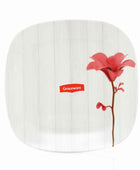 Lush Neue Double Glazed  Set-80 Pcs