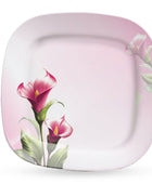 Lush Neue Double Glazed  Set-80 Pcs